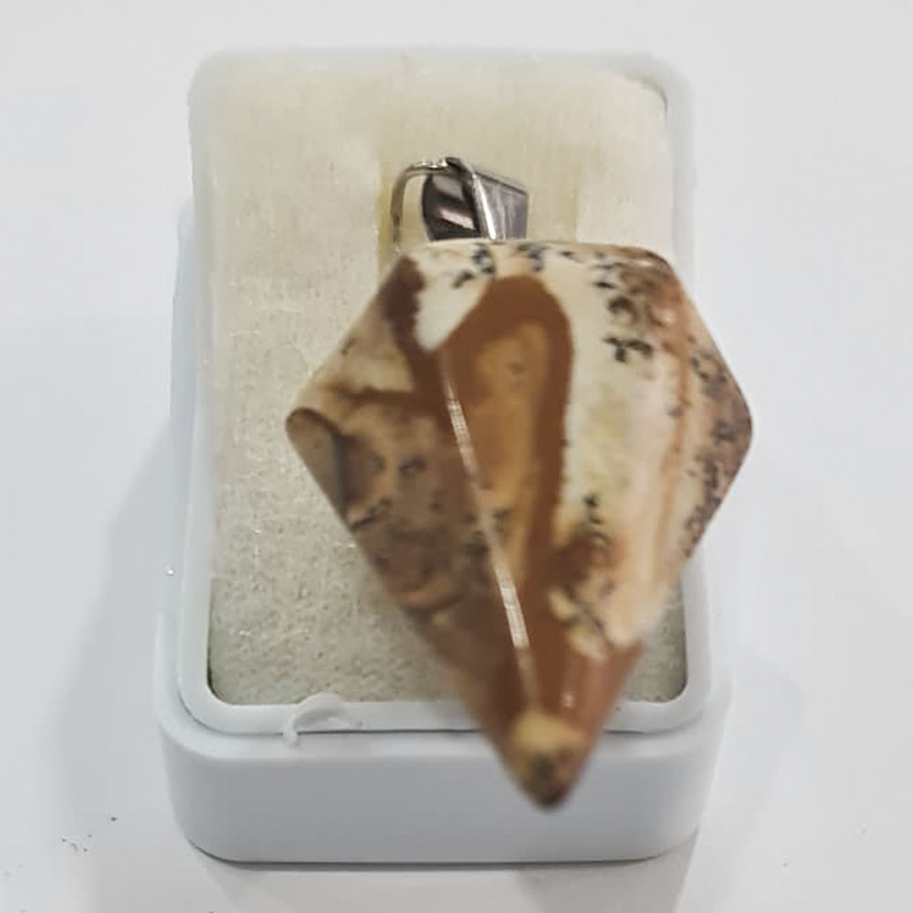 DIJE PÉNDULO DE CUARZO MADERA PETRIFICADA GRANDE