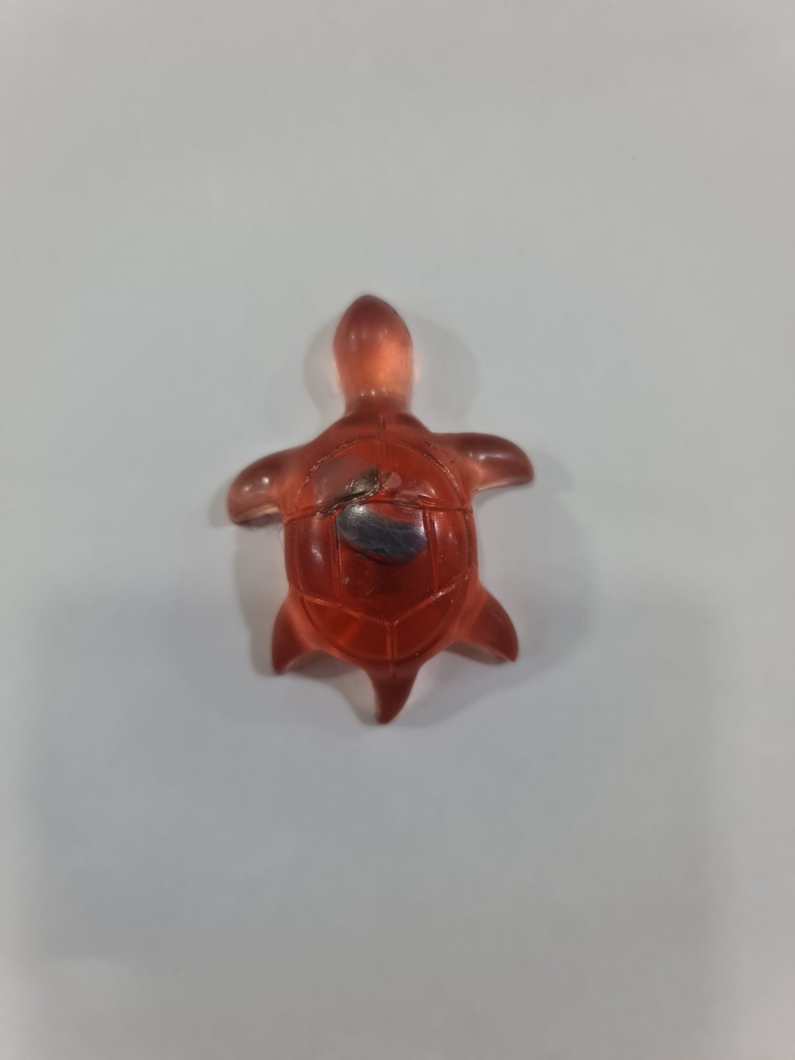 TORTUGA ROJA DE PERSEVERANCIA