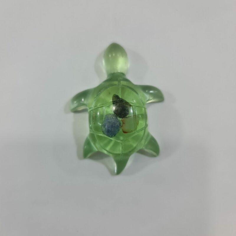 TORTUGA VERDE DE LA PERSEVERANCIA