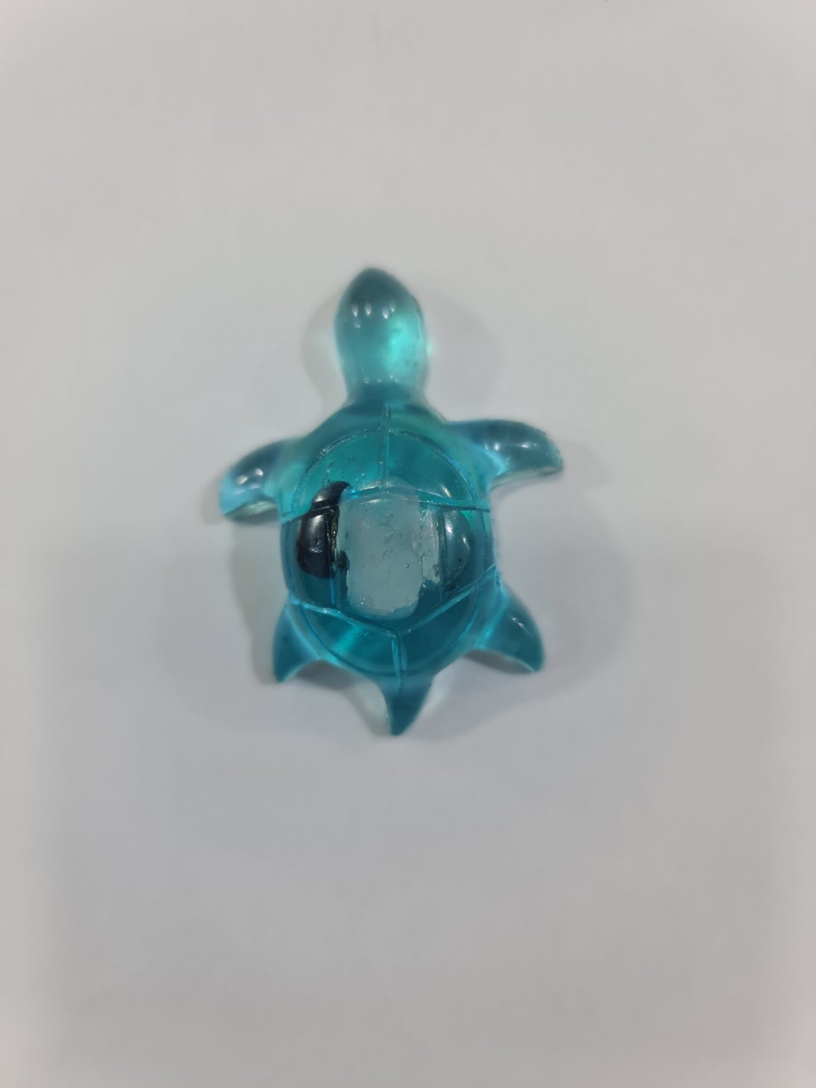 TORTUGA AZUL DE LA PERSEVERANCIA