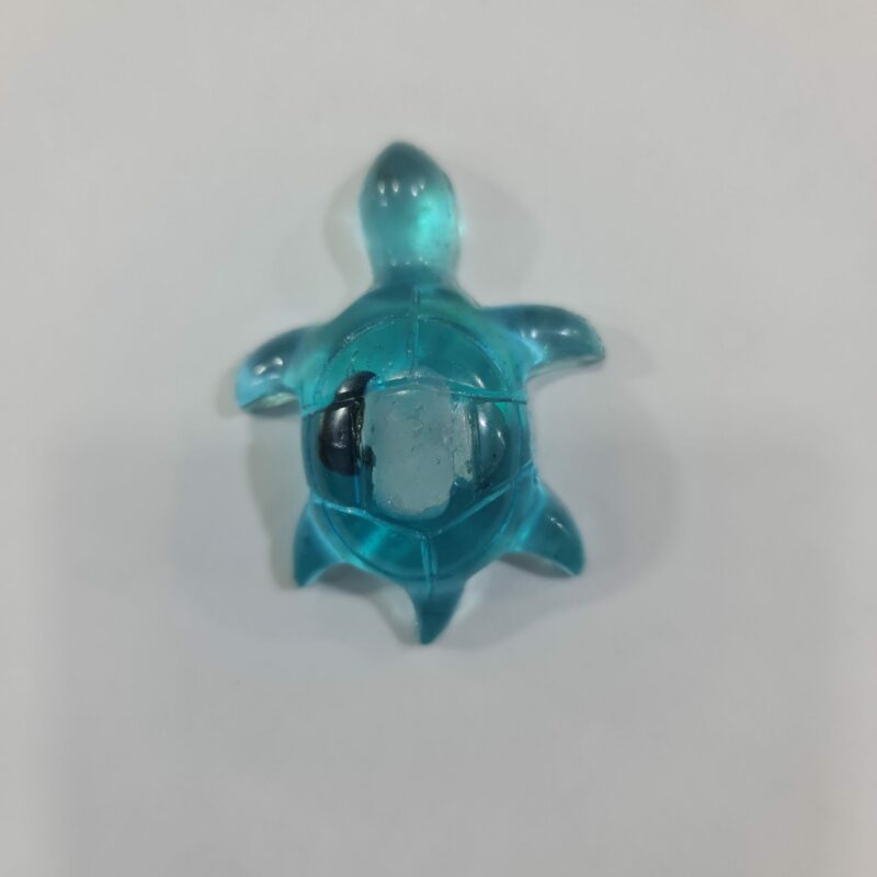TORTUGA AZUL DE LA PERSEVERANCIA