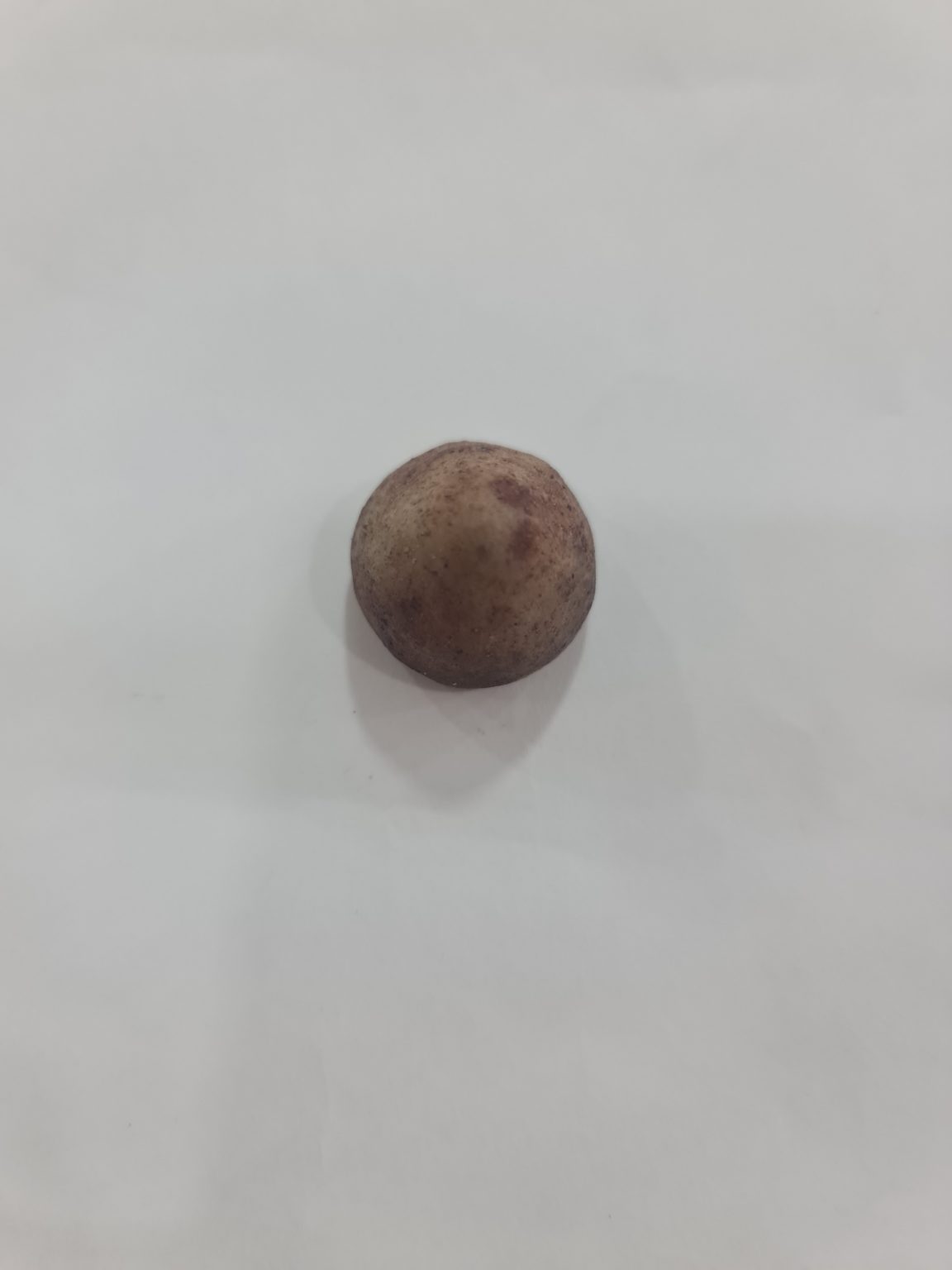 PIEDRA DE COYOTE CHICA