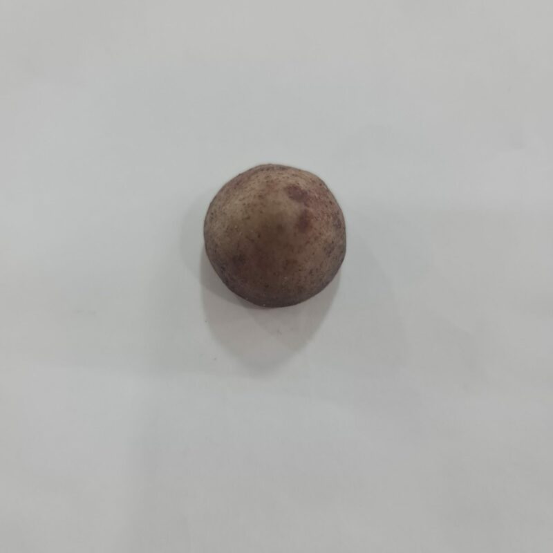 PIEDRA DE COYOTE CHICA