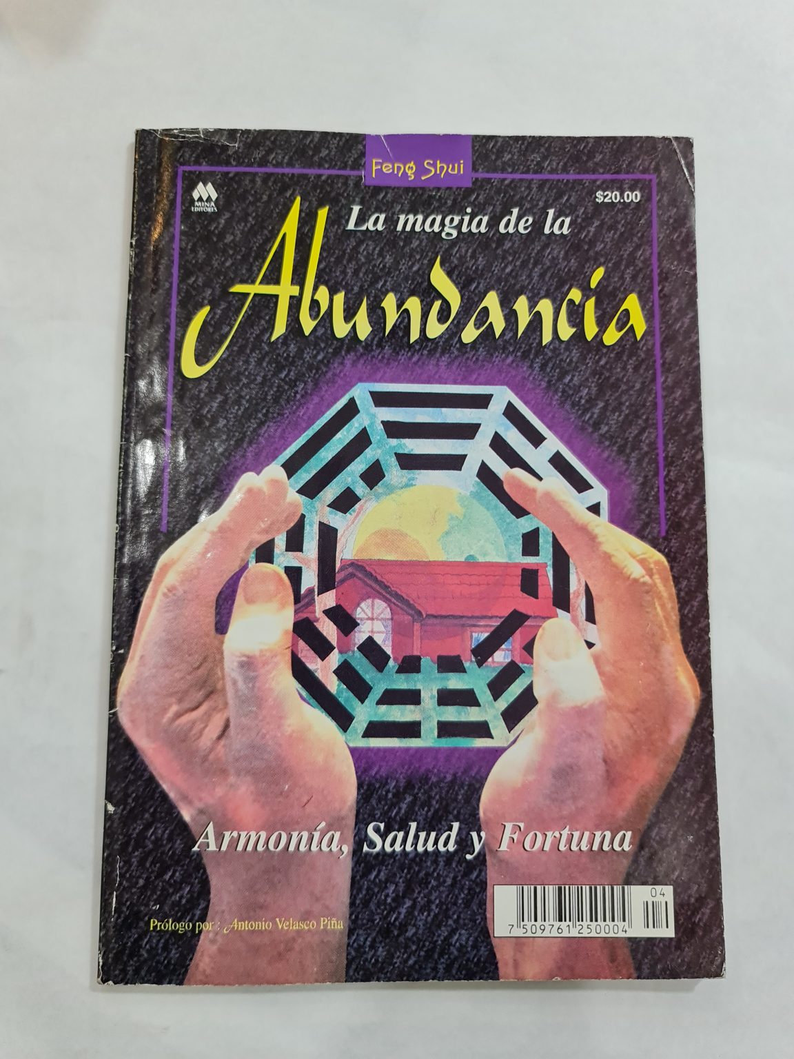 LIBRO DE LA MÁGIA DE LA ABUNDANCIA