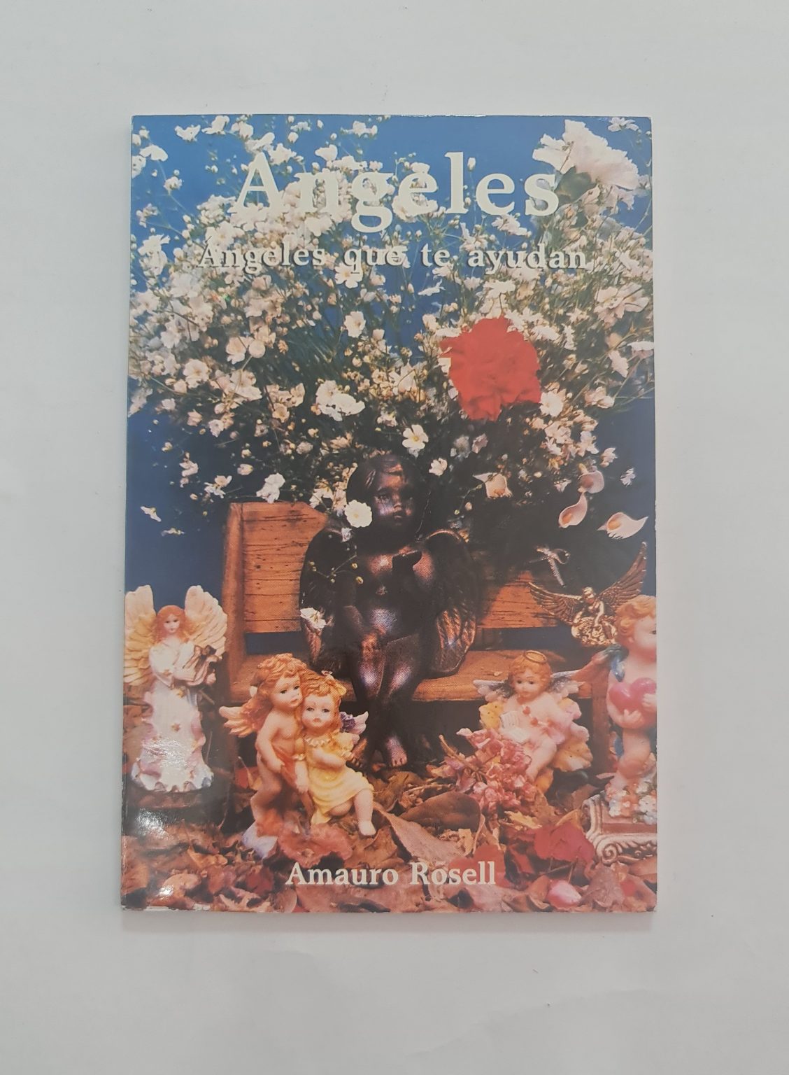 LIBRO DE ÁNGELES Y ARCÁNGELES QUE TE AYUDAN