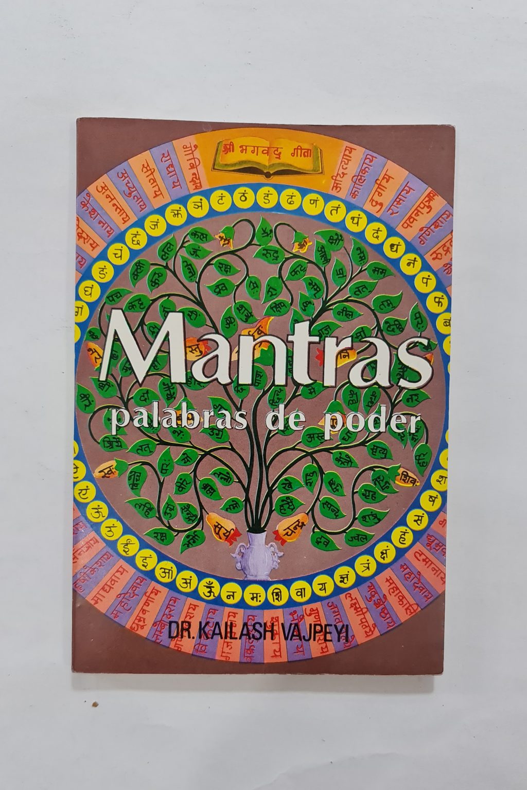 LIBRO DE MANTRAS