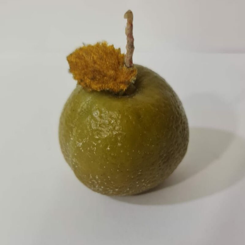 VELADORA DE MANZANA VERDE