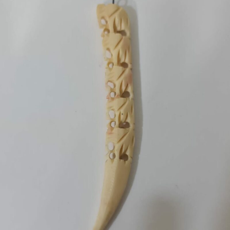 COLMILLO DE LOS 5 ELEFANTES