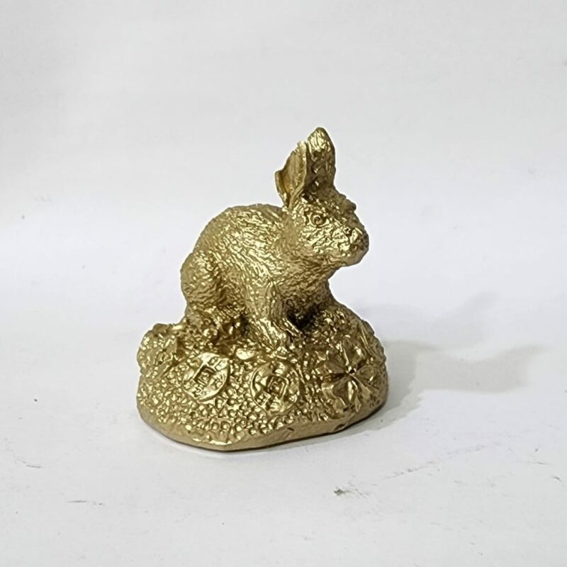 CONEJO #3