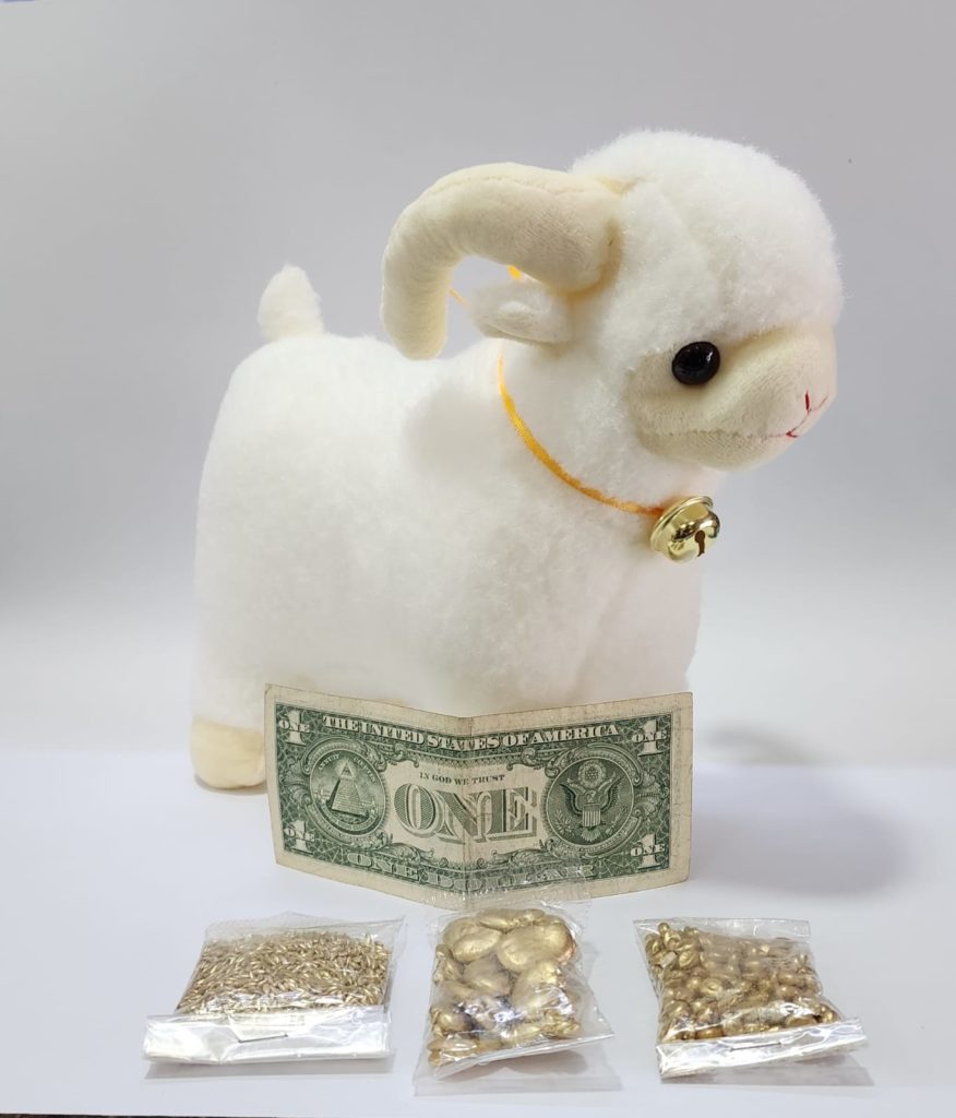 BORREGO DE LA ABUNDANCIA CON SEMILLAS Y DOLAR