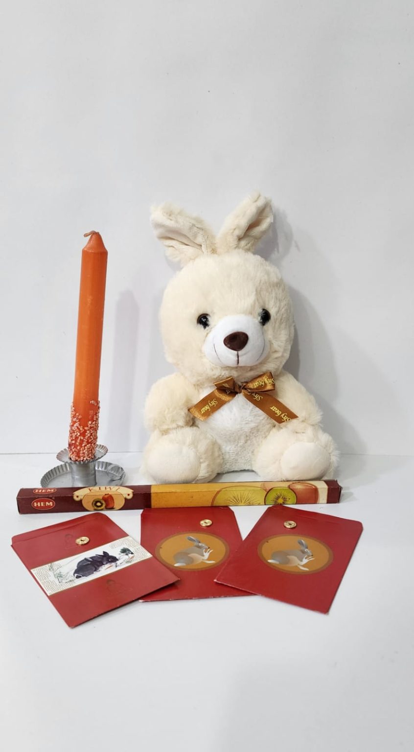 KIT DE CONEJO AÑO CHINO #2