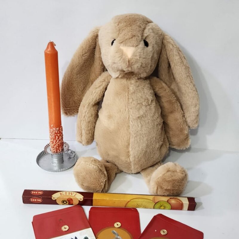 KIT DE CONEJO AÑO CHINO 2023