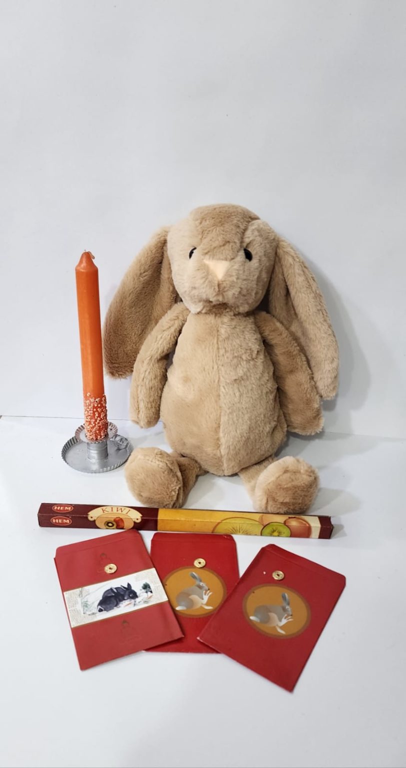KIT DE CONEJO AÑO CHINO 2023