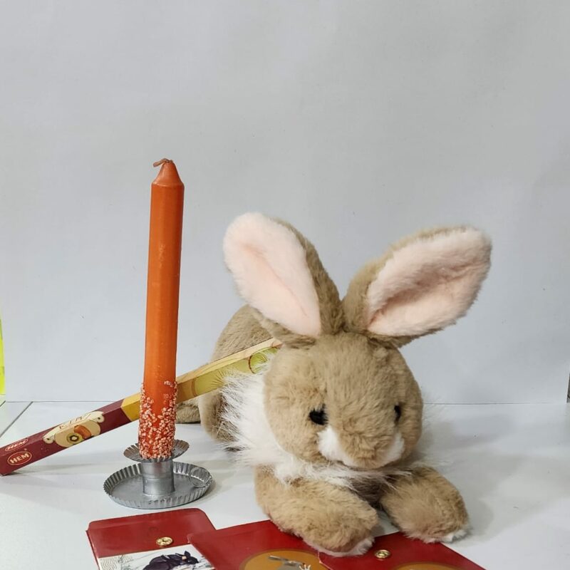 KIT DE CONEJO AÑO CHINO #1