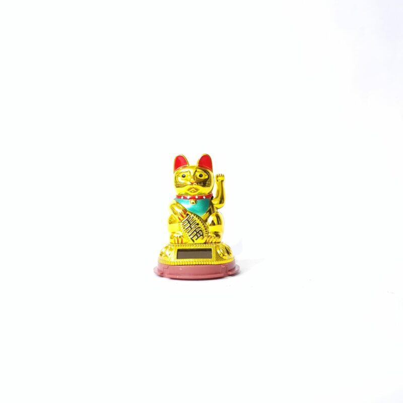 GATO LLAMA CLIENTE SOLAR