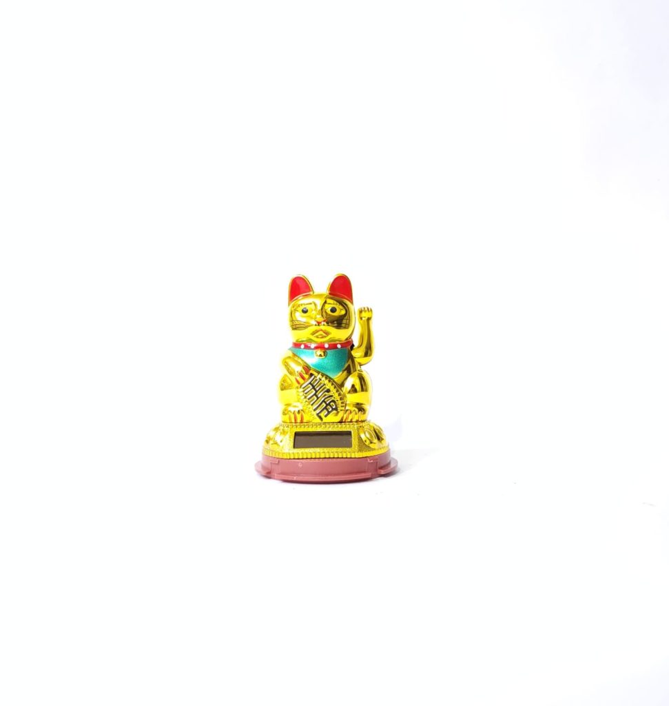 GATO LLAMA CLIENTE SOLAR