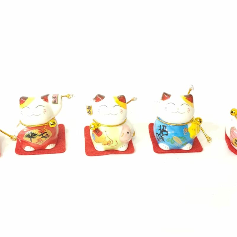 PAQUETE DE GATOS LLAMA CLIENTE DE PORCELANA