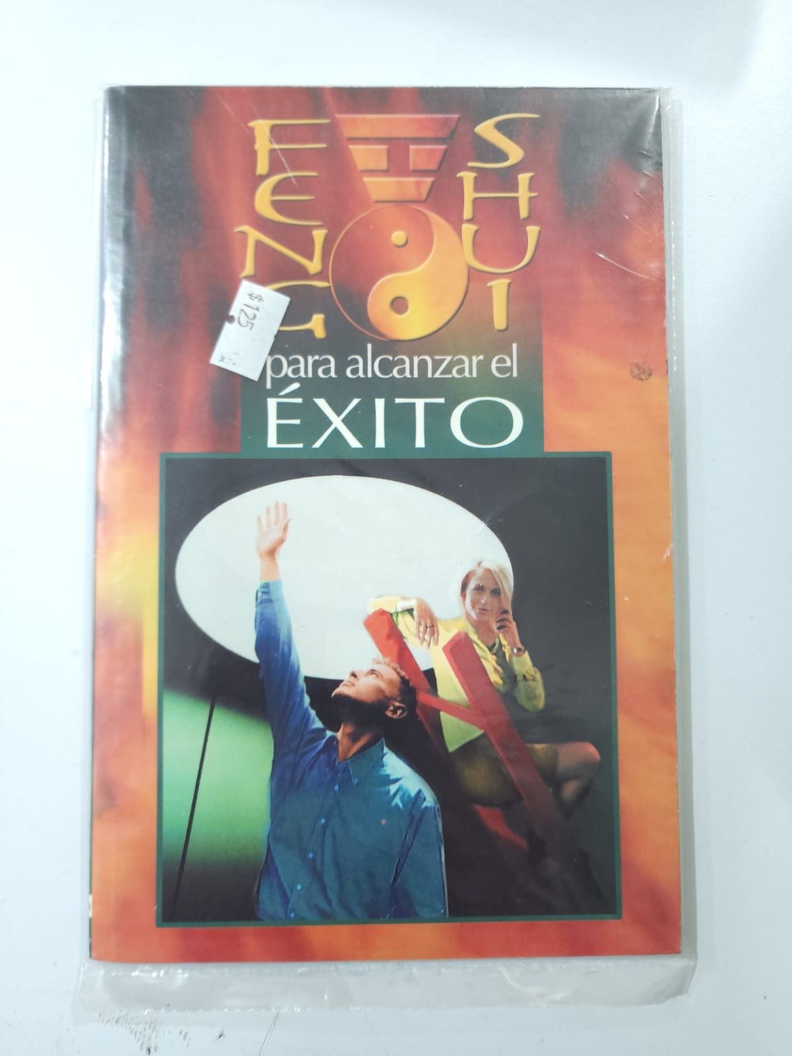 LIBRO DE FENG SHUI PARAS ALCANZAR EL ÉXITO