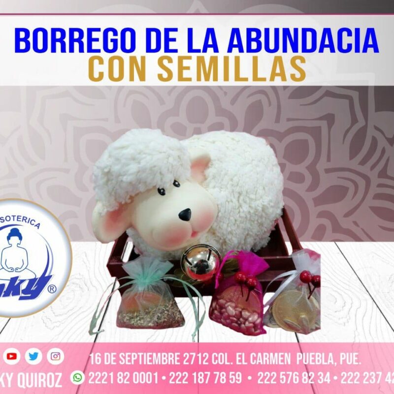 BORREGO DE CORRAL