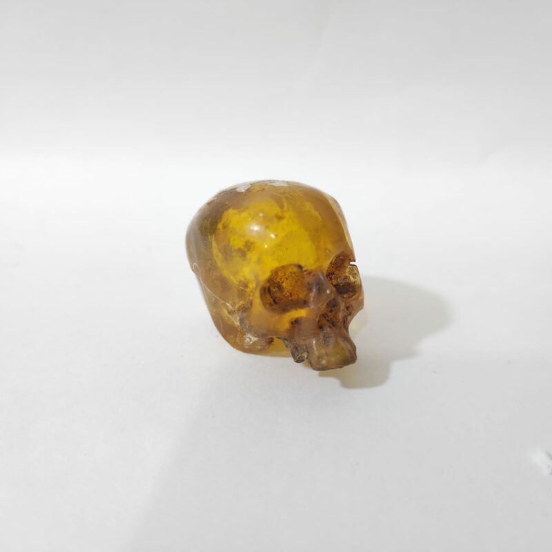 CRANEO DE ÁMBAR