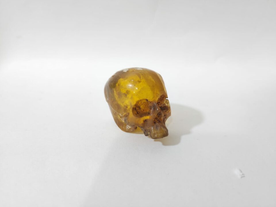 CRANEO DE ÁMBAR
