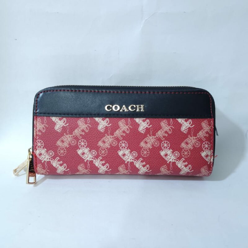 CARTERA DE DAMA