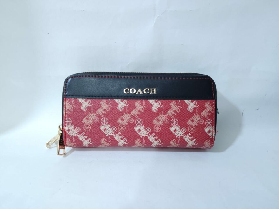 CARTERA DE DAMA