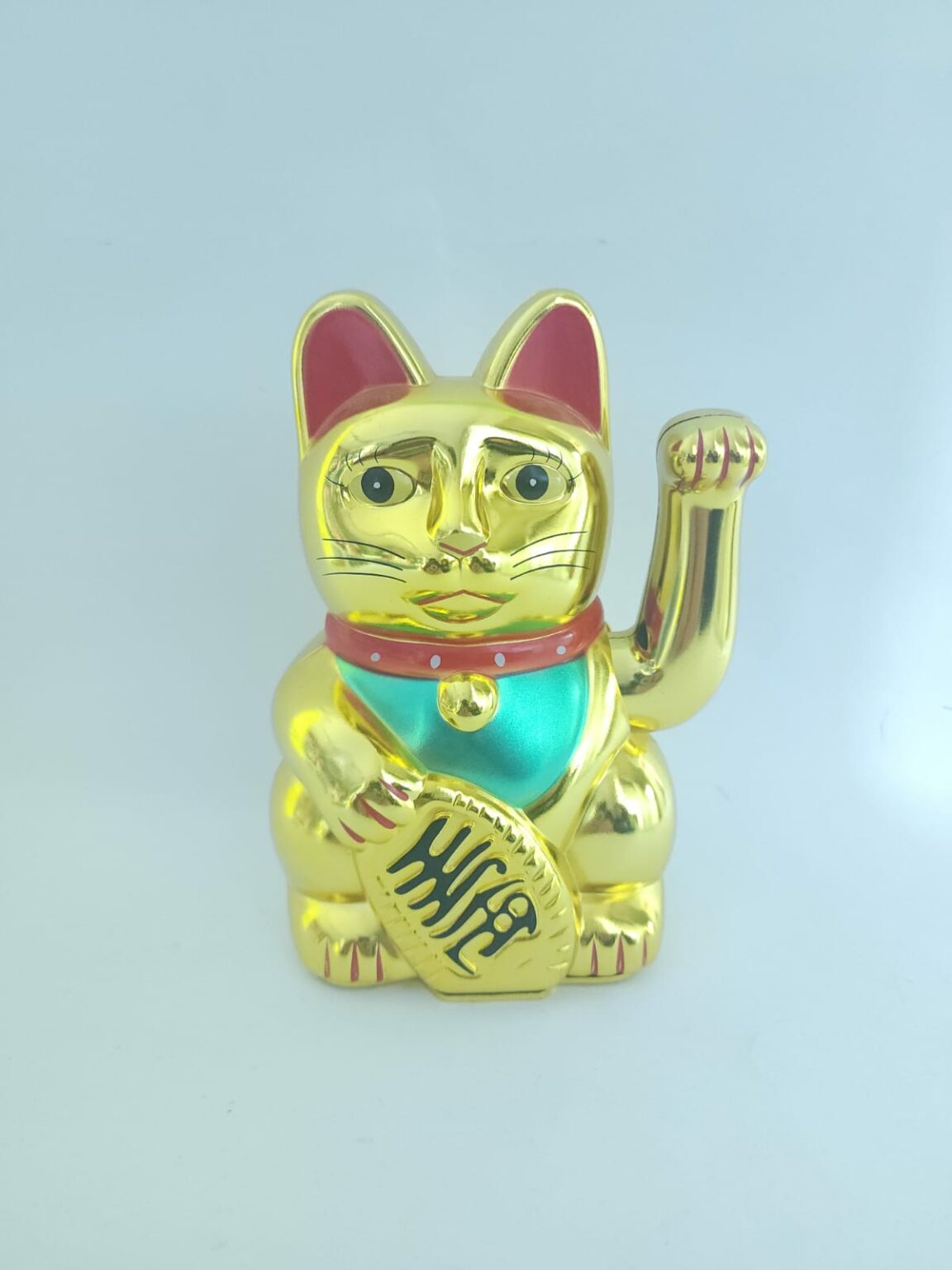 GATO LLAMA CLIETE MEDIANO