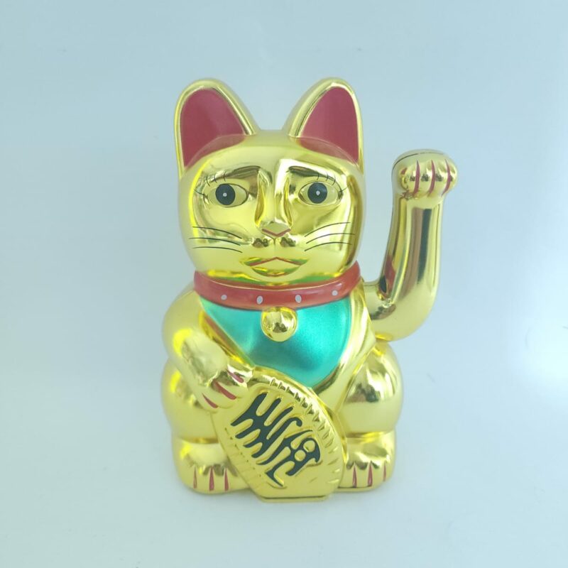 GATO LLAMA CLIETE GRANDE