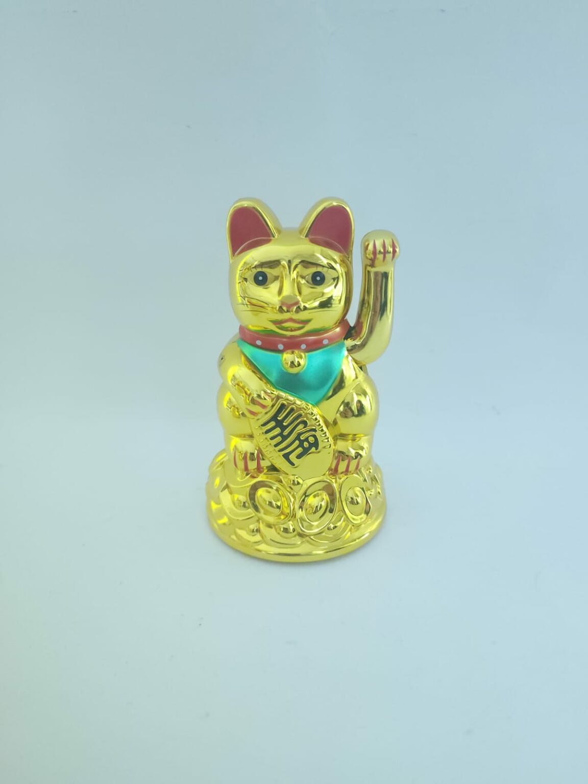 GATO LLAMA CLIENTE CHICO