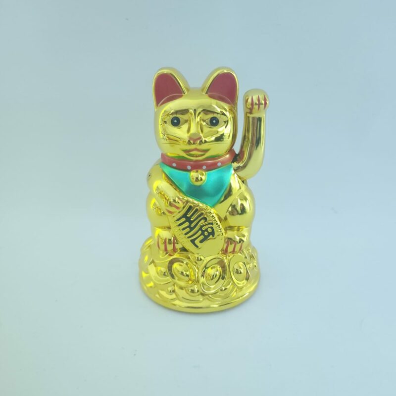 GATO LLAMA CLIENTE CHICO