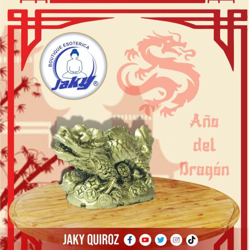 DRAGÓN CHICO