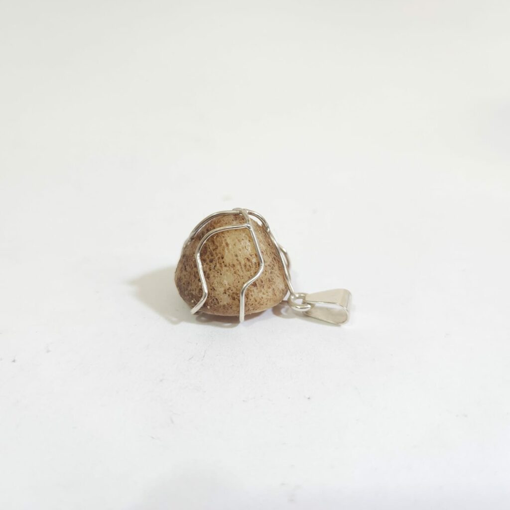 PIEDRA DE COYOTE MONTADA EN PLATA CHICA