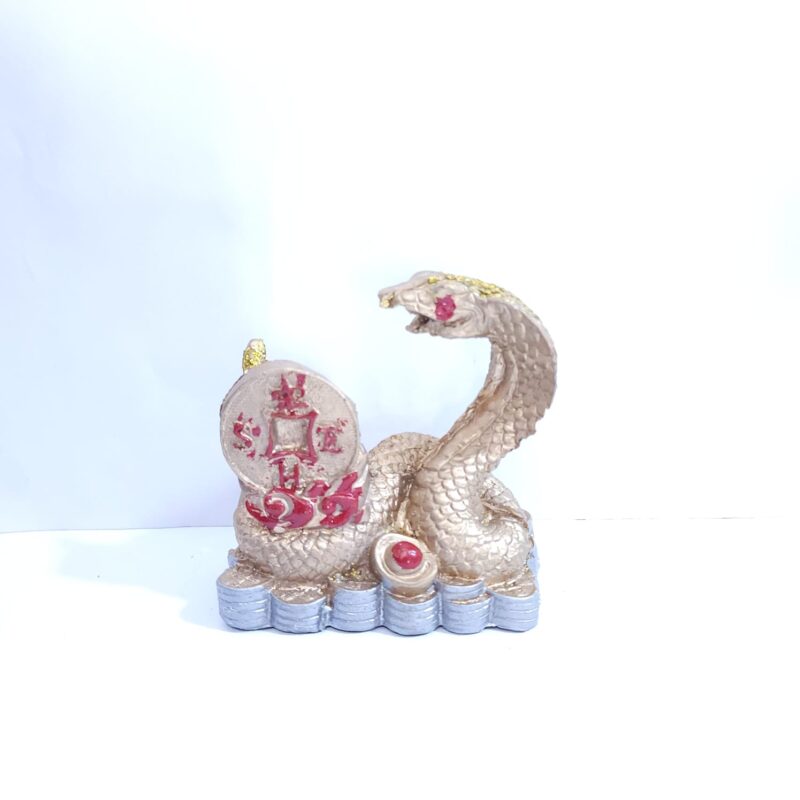 SERPIENTE GRANDE #2 AÑO CHINO