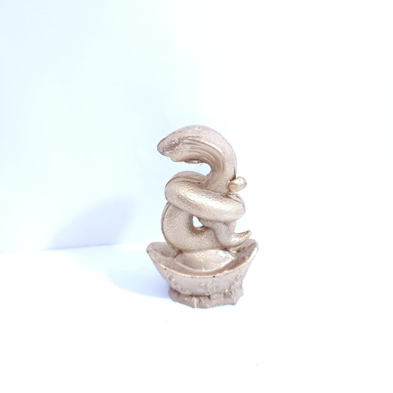 SERPIENTE MEDIANA AÑO CHINO #2