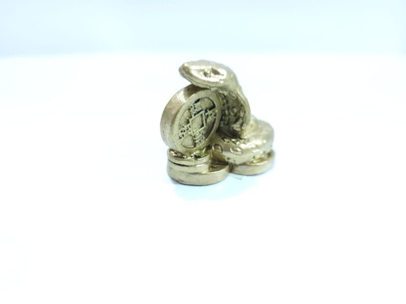 SERPIENTE AÑO CHINO #5 CHICA