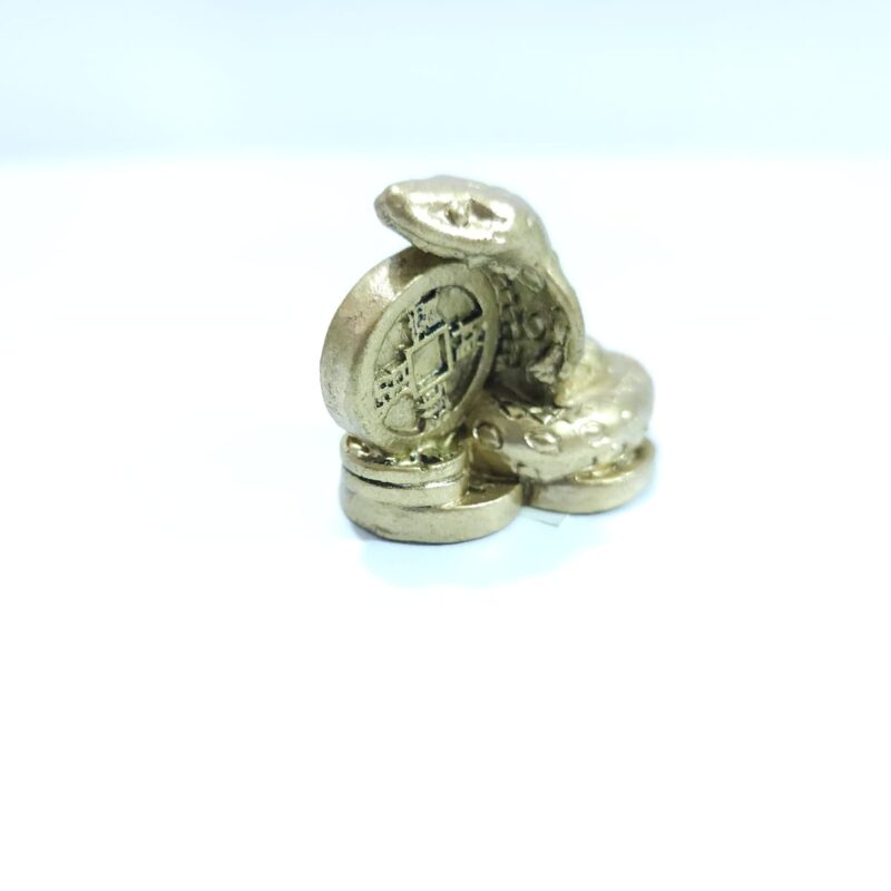 SERPIENTE AÑO CHINO #5 CHICA