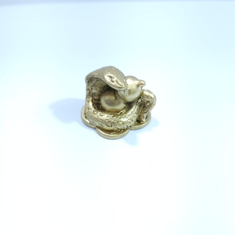 SERPIENTE AÑO CHINO #4 CHICA