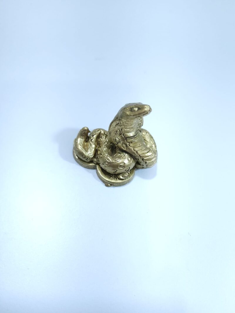 SERPIENTE AÑO CHINO #1 CHICA
