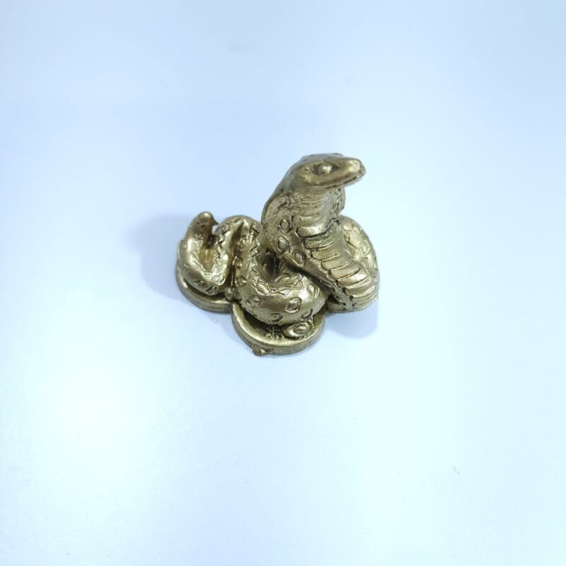 SERPIENTE AÑO CHINO #1 CHICA