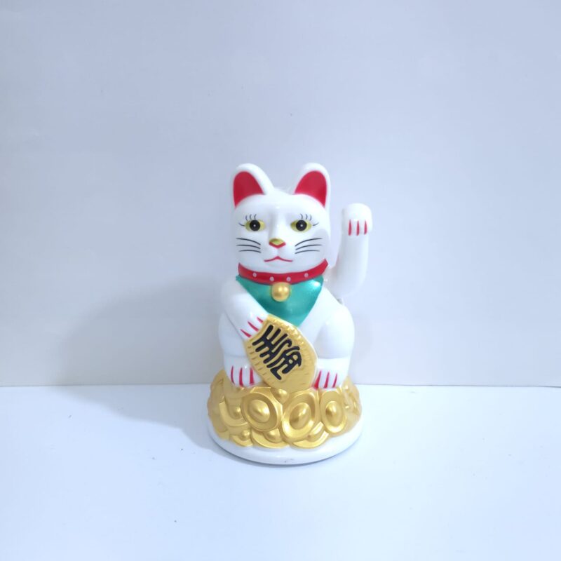 GATO LLAMA CLIENTE BLANCO CHICO