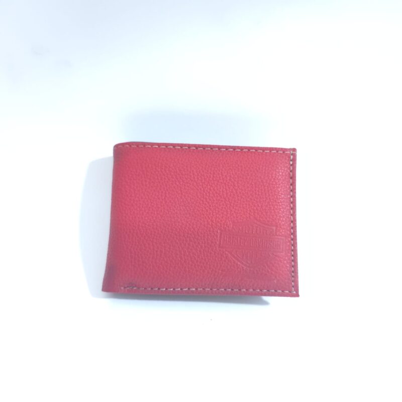 CARTERA PARA CABALLERO #3