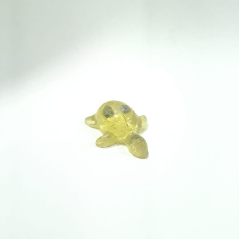 TORTUGA AMARILLA