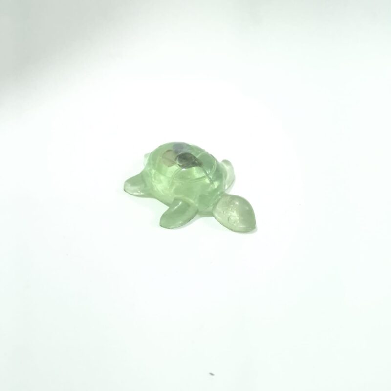 TORTUGA VERDE