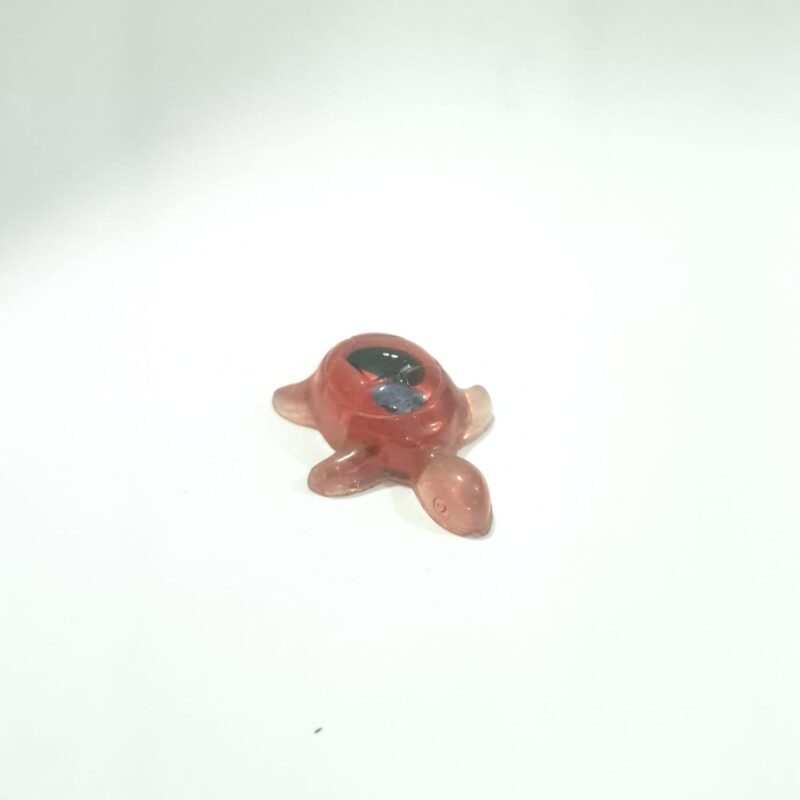 TORTUGA ROJA