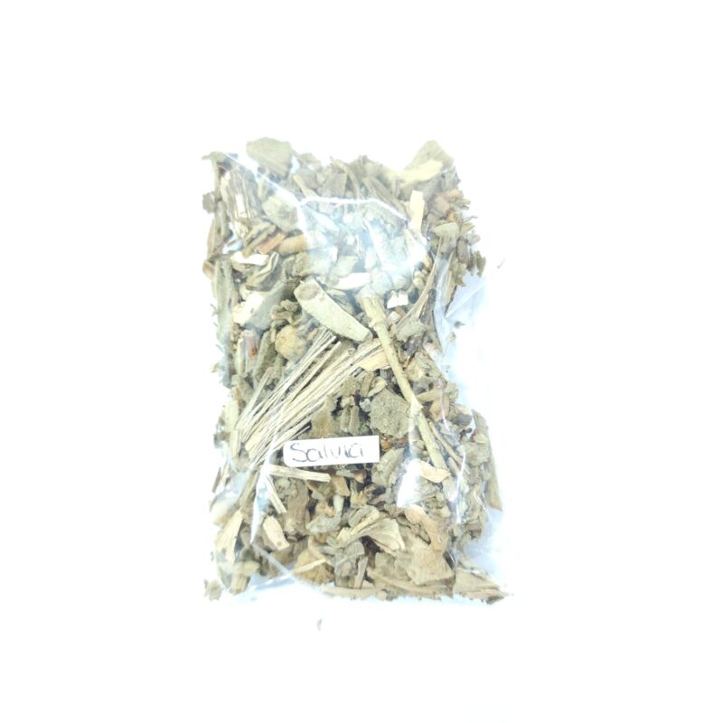 SALVIA BOLSITA