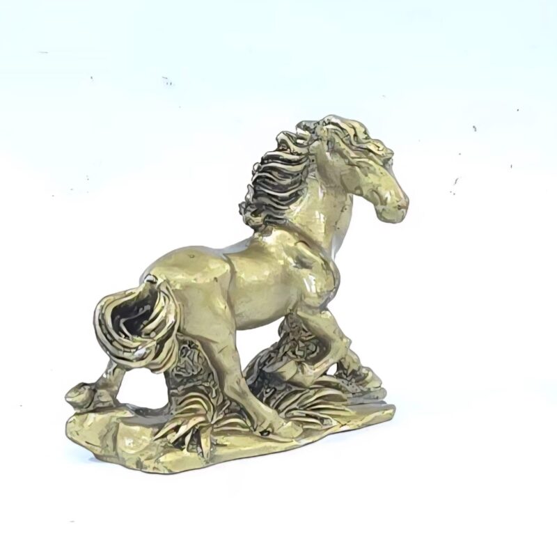 CABALLO 2 IMPORTACIÓN