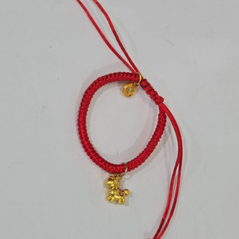 PULSERA AJUSTABLE DE CABALLO CON MONEDA